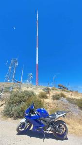 Picture provided by Luke LaRock 08/06/2025